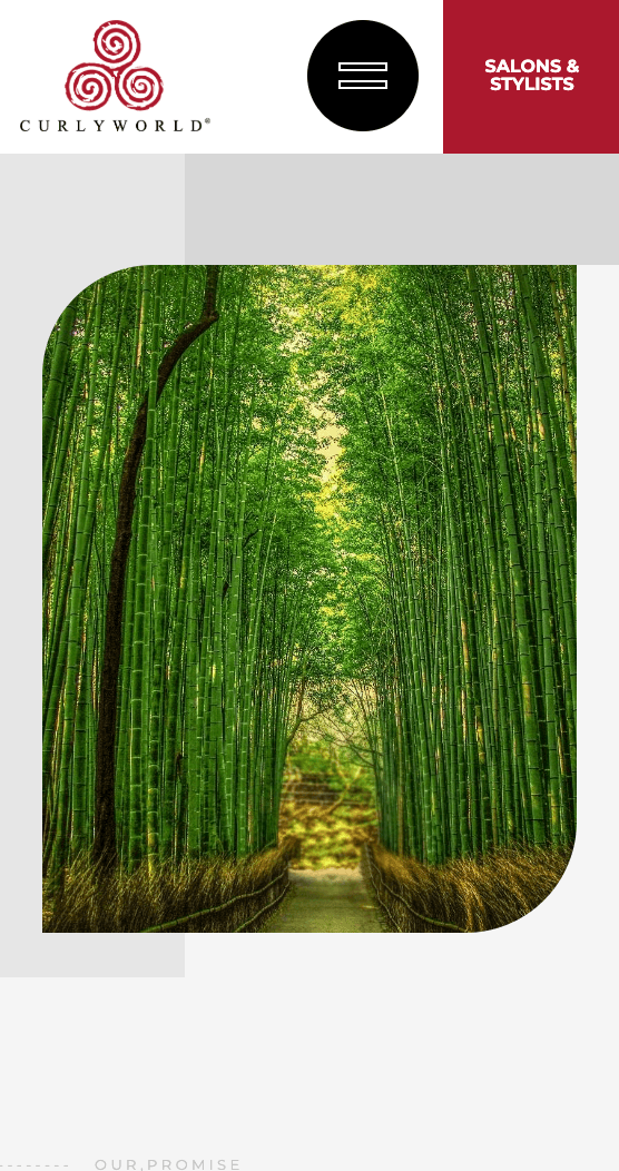 CurlyWorld mobile view